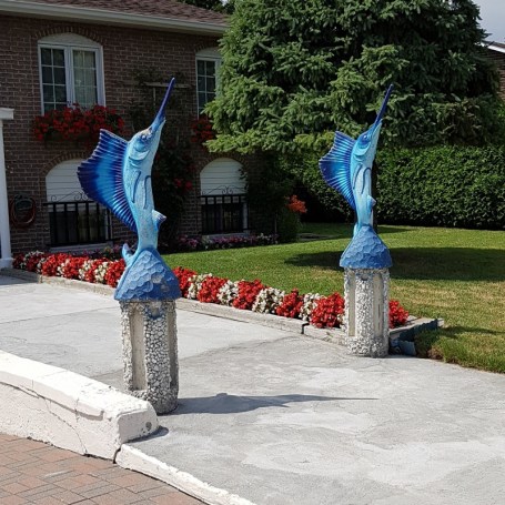 20180728_141838 (800x800)