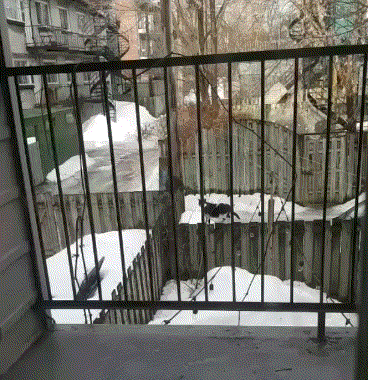 video2gif_20190314_212626.gif