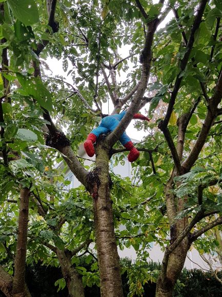 The rear of a Spiderman plushie is visible in a deciduous tree.