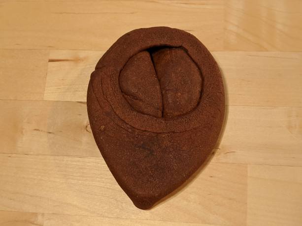 Flattened gingerbread cylinders.