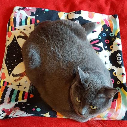 Birds eye view of a chonky grey cat in loaf form on a multicoloured pillowcase.