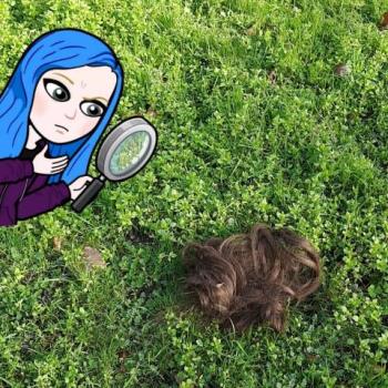 A brown wig sits on grass. On the left, is a blue-haired bitmoji with a magnifying glass.