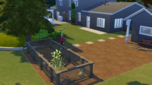 A turquoise-haired Sim in a dark pink hoody overlooks a cage containing two rabbits. The house can be seen in the background.