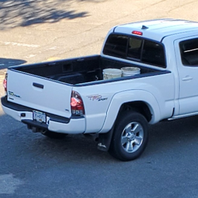 The bed of a white Toyota Tacoma pickup truck. Two dirty white buckets are visible in the bed. The brake lights are on, and the license plate is blurry, but the number appears to be EK 912.