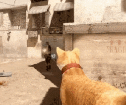 A gif of an orange cat being used as a machine gun.