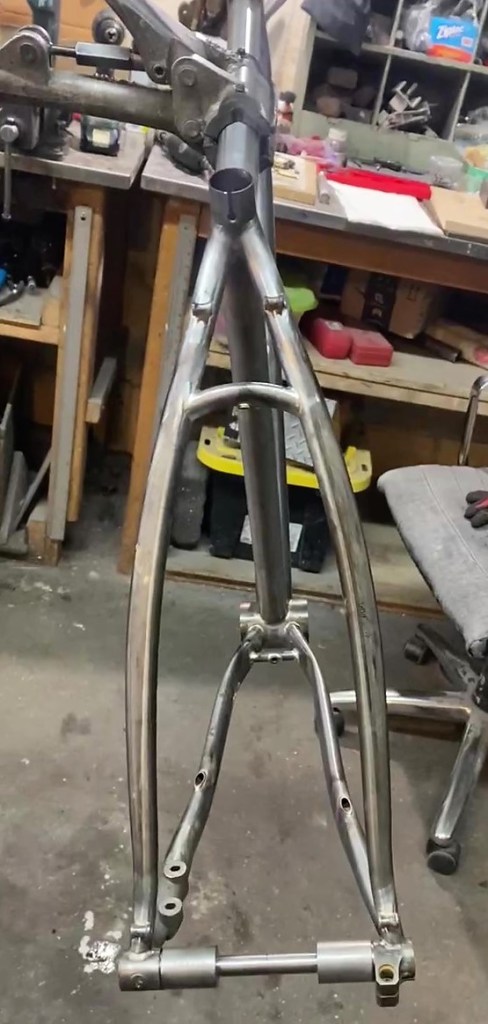 A raw bike frame photographed from the rear, showing the swooping seat stays.