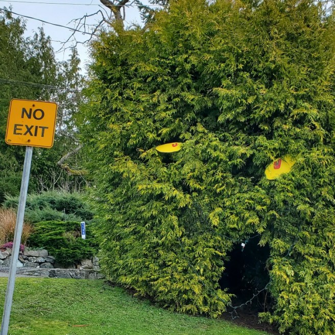 A large shrub with carboard cut-outs resembling wonky yellow eyes. It looks as if you're able to enter it by its mouth. But, next to the shrub is a yellow No Exit sign.