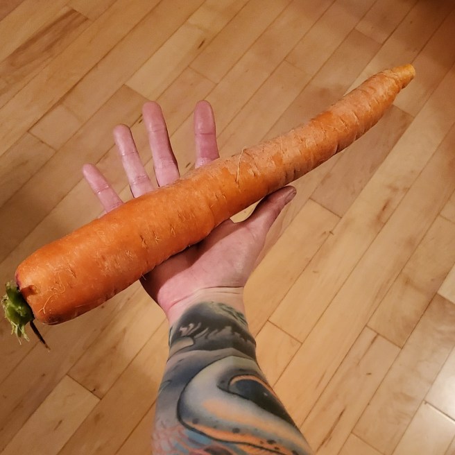 This image has an empty alt attribute; its file name is wp-1617771201929.jpg